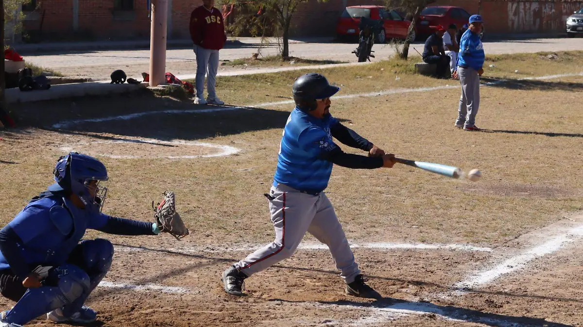 SJR Distintos campos