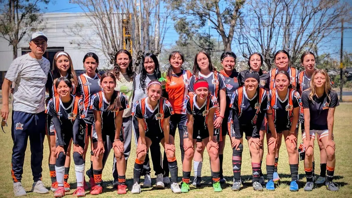 SJR Actual equipo