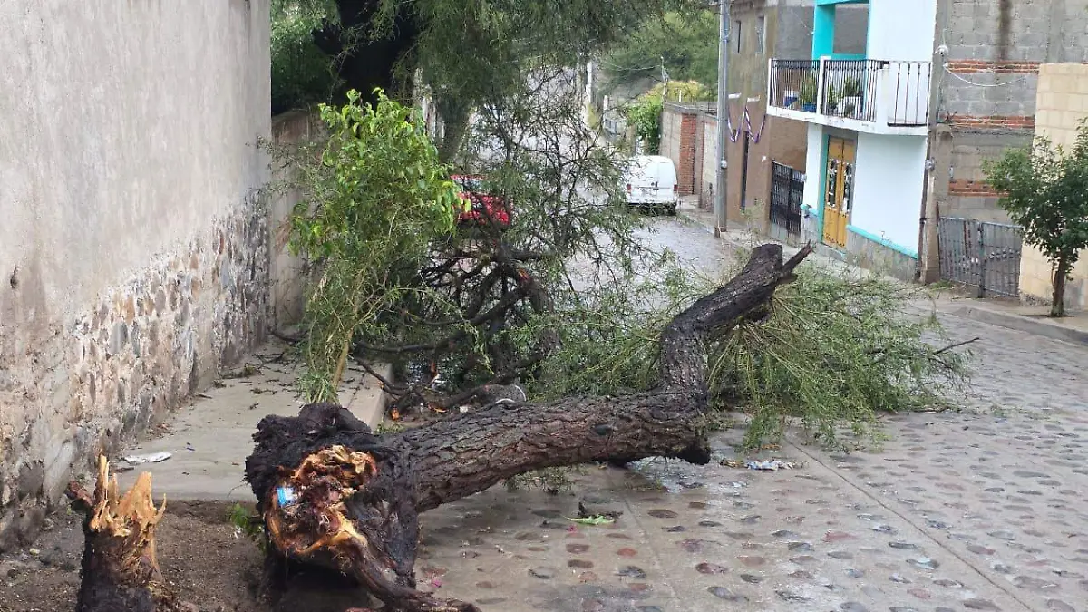 WhatsApp Image 2026-08-23 at 6.50.33 PM
