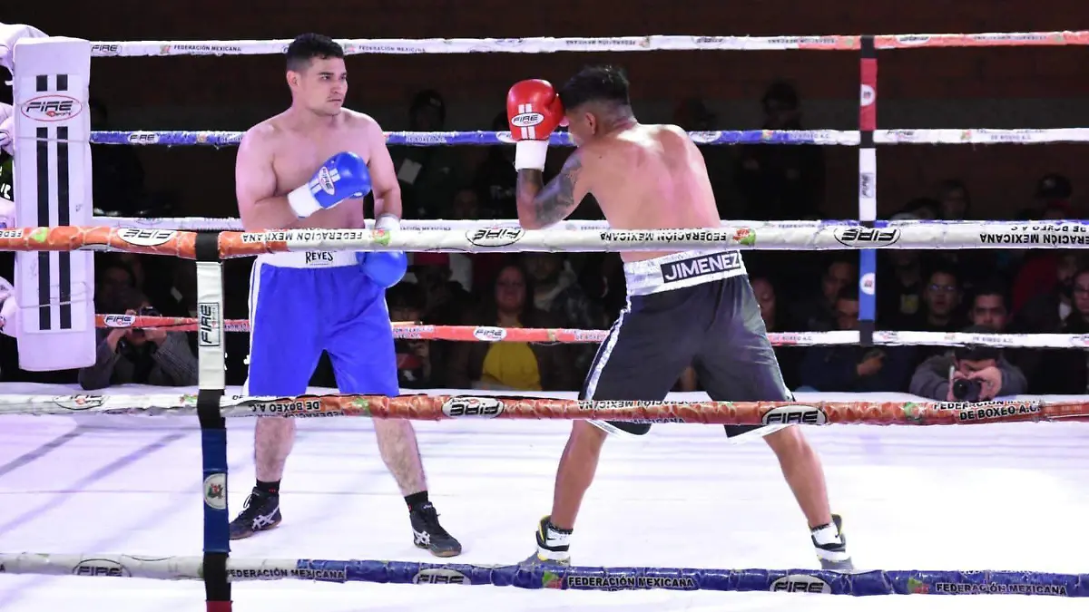  box profesional y amateur (1)