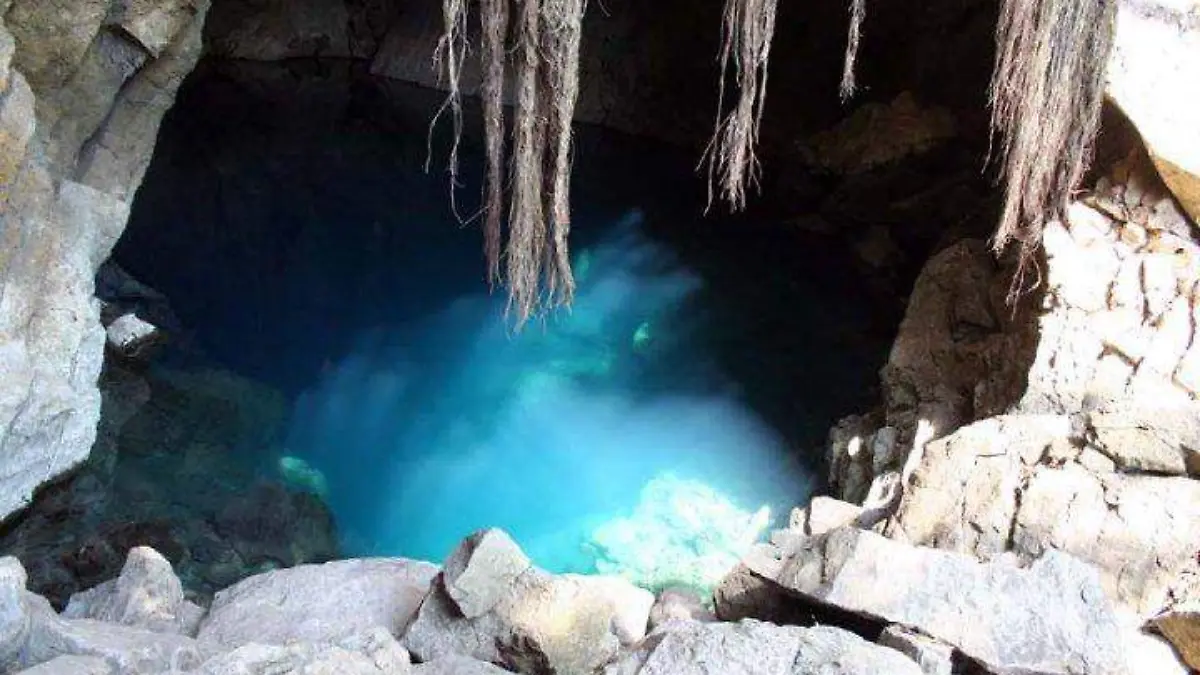 WhatsApp Image 2024-07-24 at 14.21.05 (1)