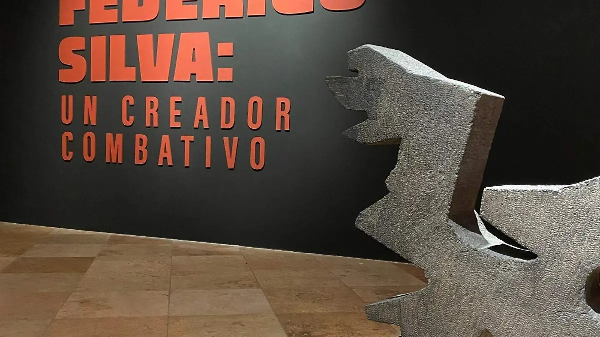 Museo Federico Silva
