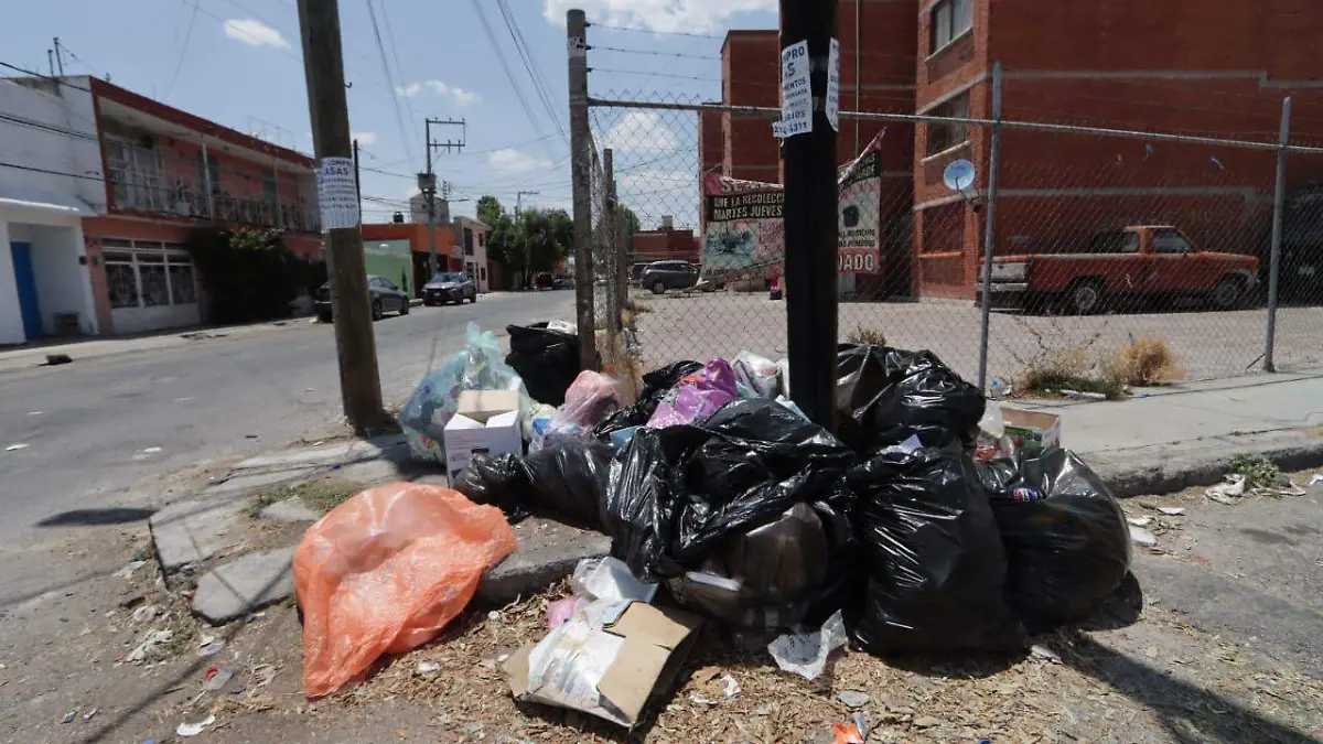 Basura sLP (1)