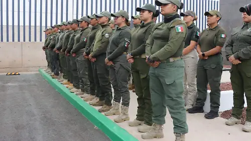 Elementos de la SSPCE