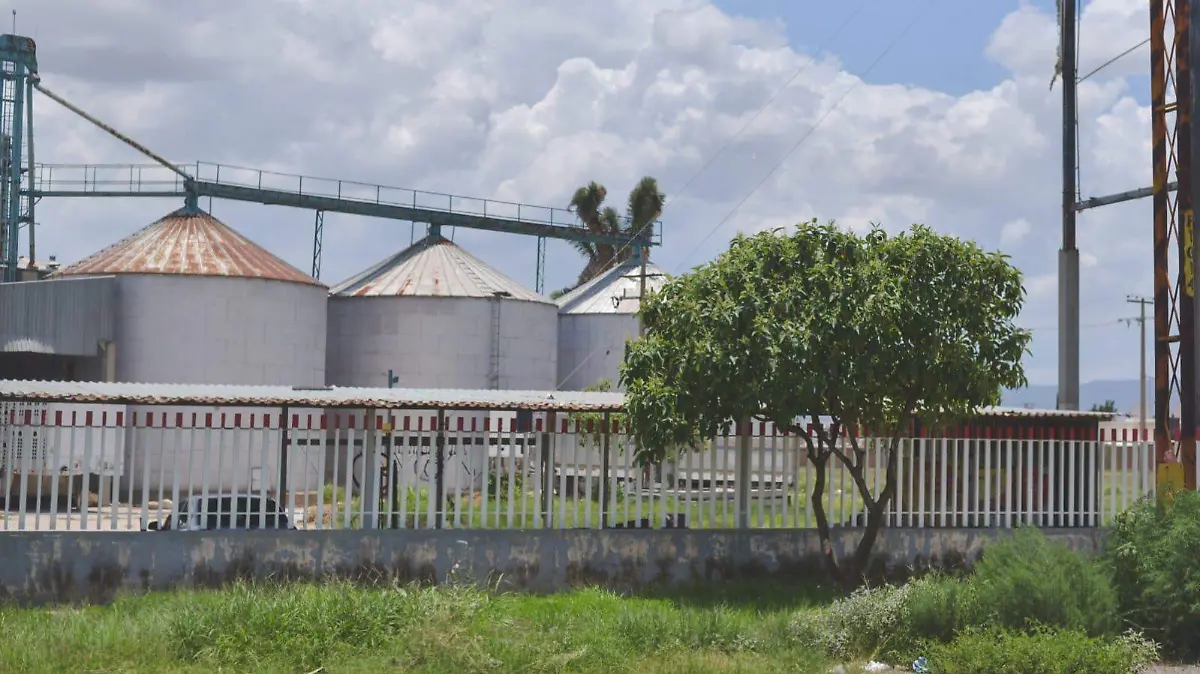 Industria Soledad (1)