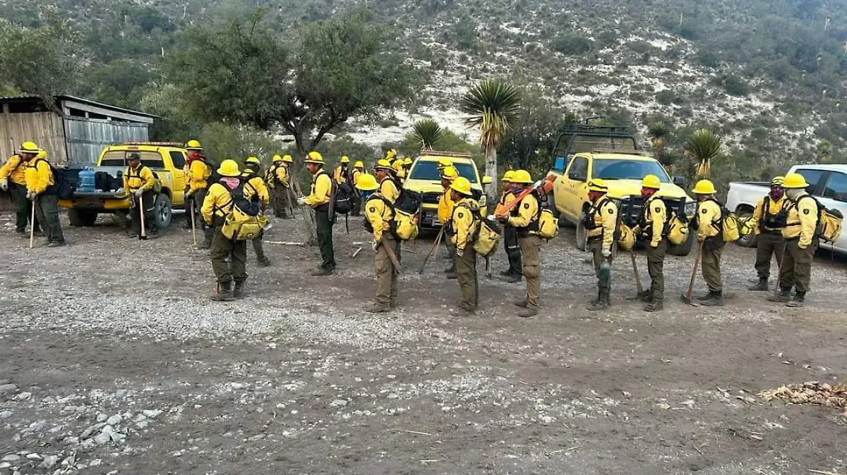 bomberos combaten incendio