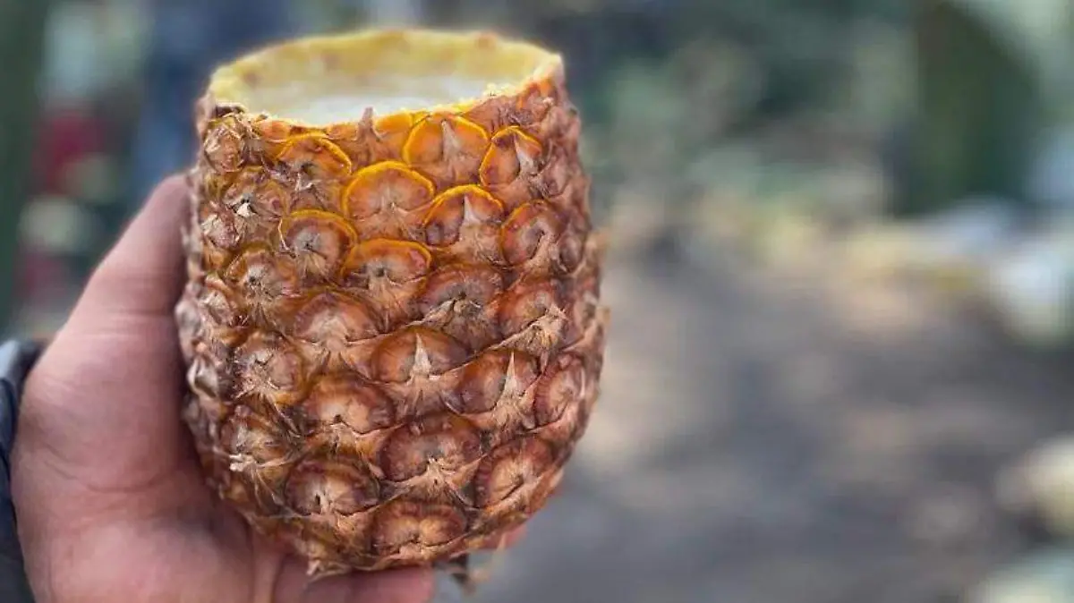 pulque en su piña