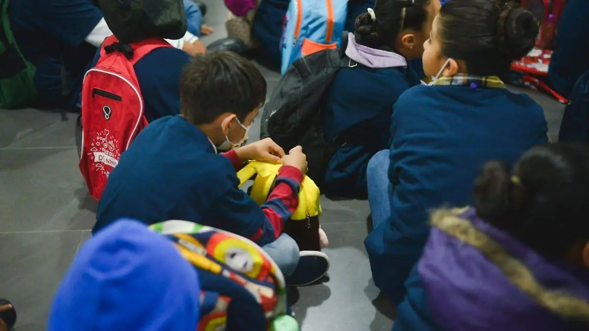 camping pequeños gigantes (3)