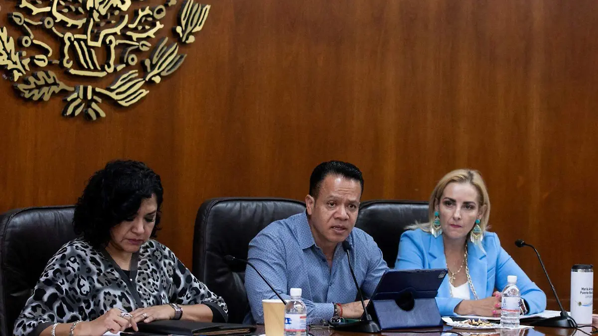 Diputados, Congreso de SLP