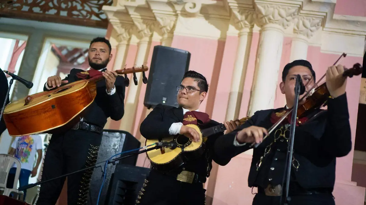  Compañía TACE Talleres Artísticos, Culturales y Educativos (1)