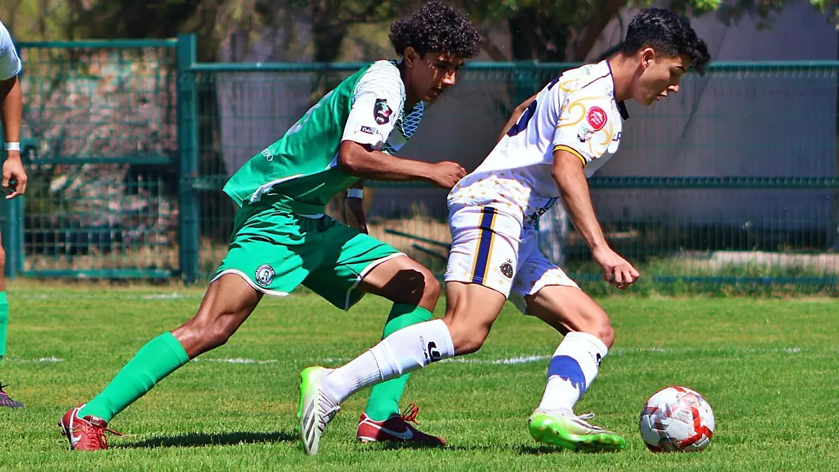 Potosinos FC (1)
