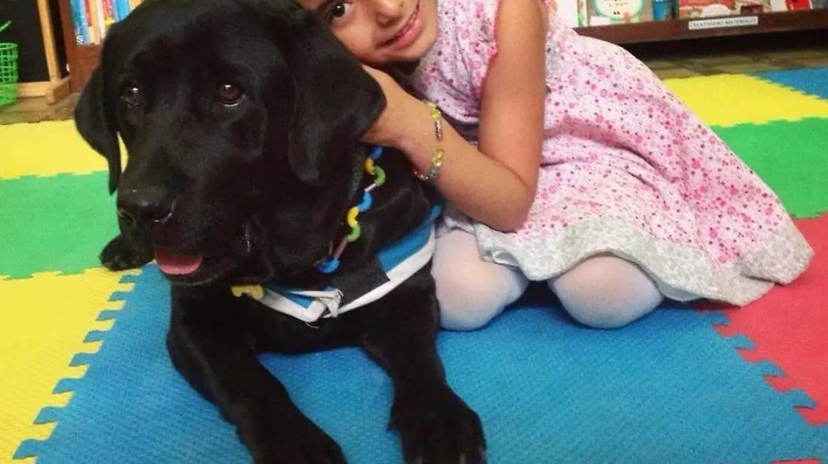 Terapia asistida con perros (4)