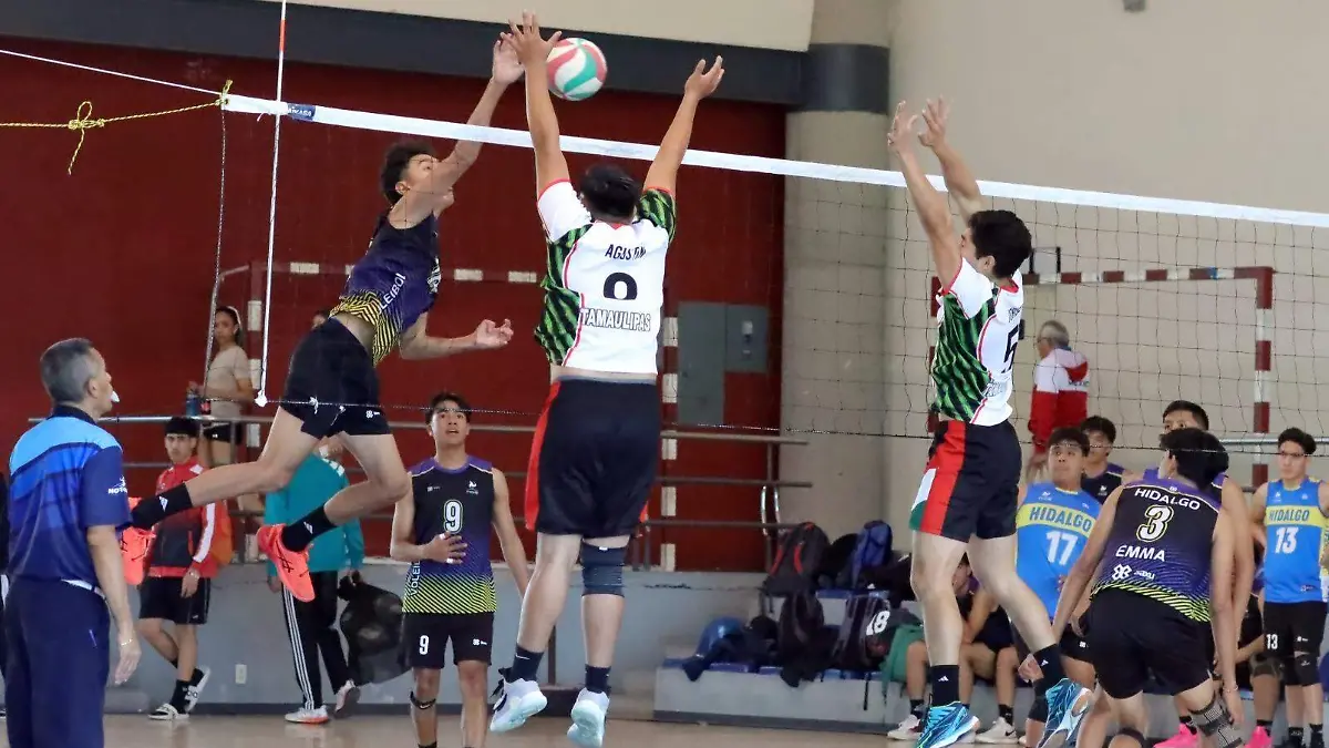 Nacional de Voleibol (1)