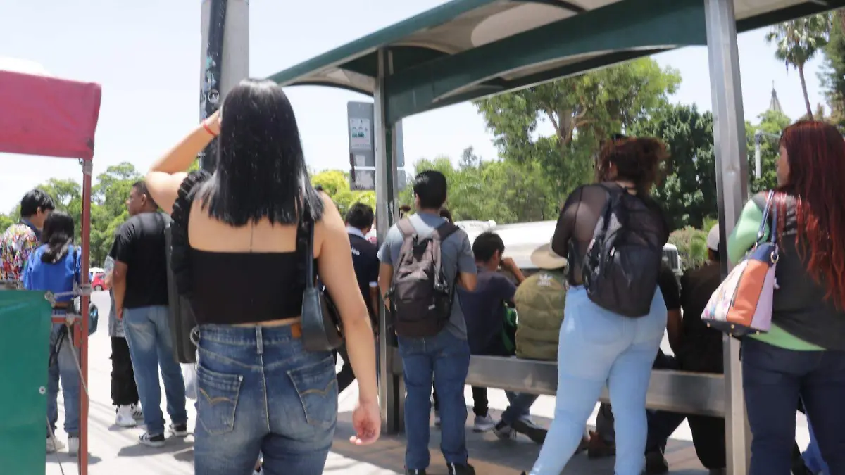 para de transporte público camiones