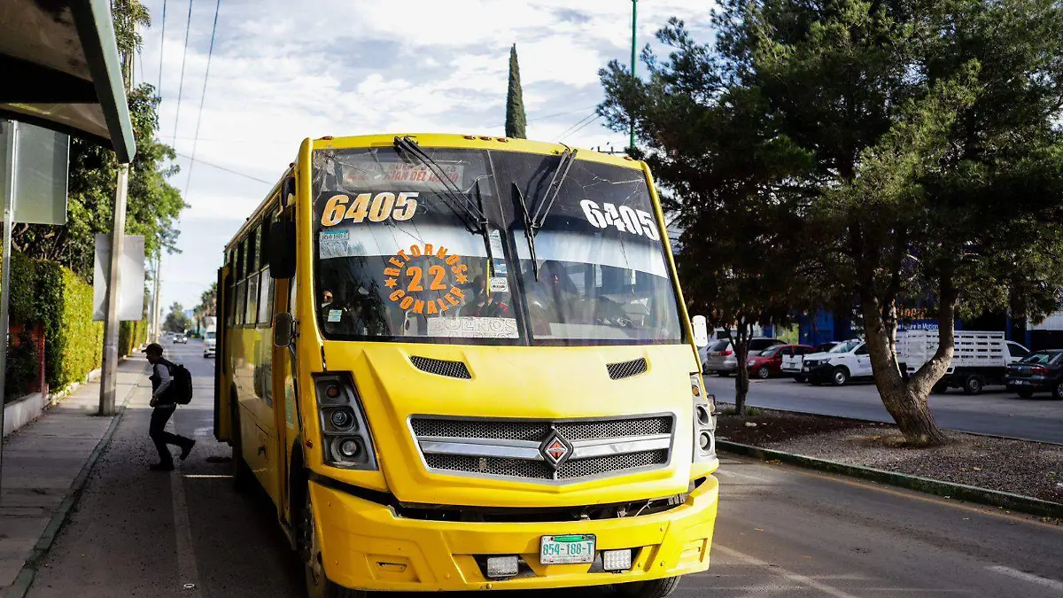 transporte público camiones urbanos ND (2)