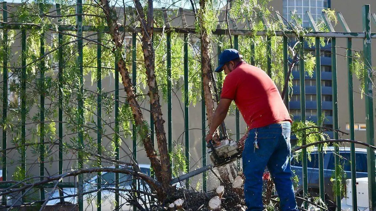 limpieza y riego en parque “De Morales” (5)