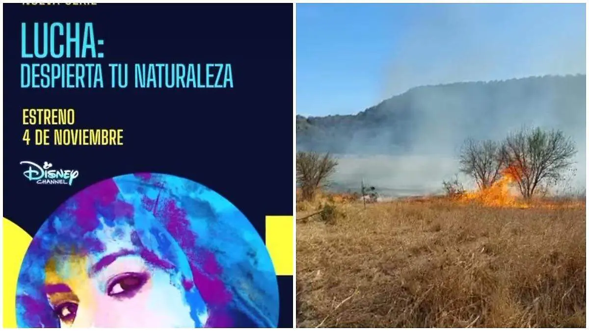 WhatsApp Image 2024-11-05 at 21.31.23