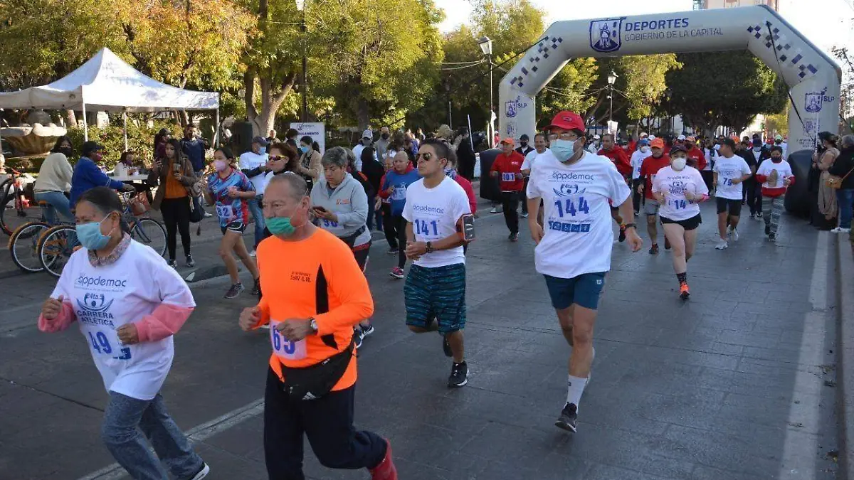 carrera amor y amistad (3)