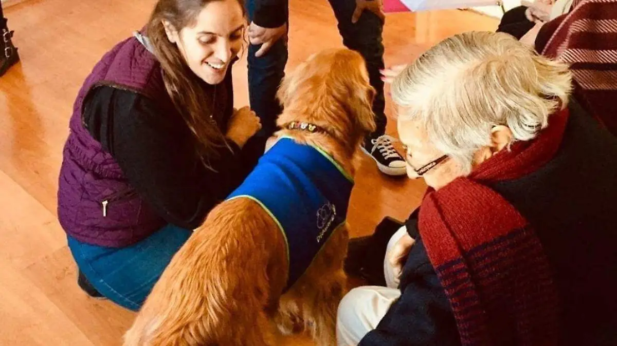 Terapia asistida con perros (2)