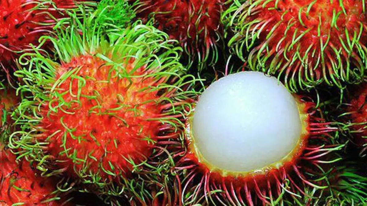lichi litchi litchie 6