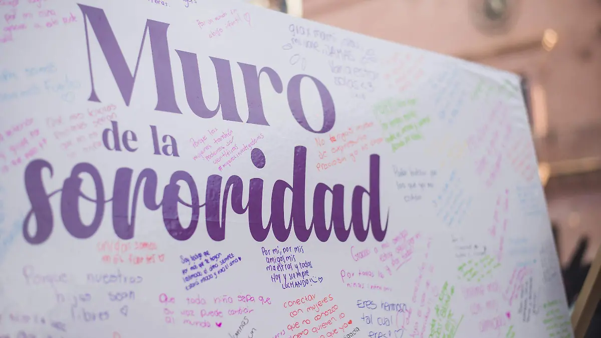 Cronica marcha por el 8M (16)