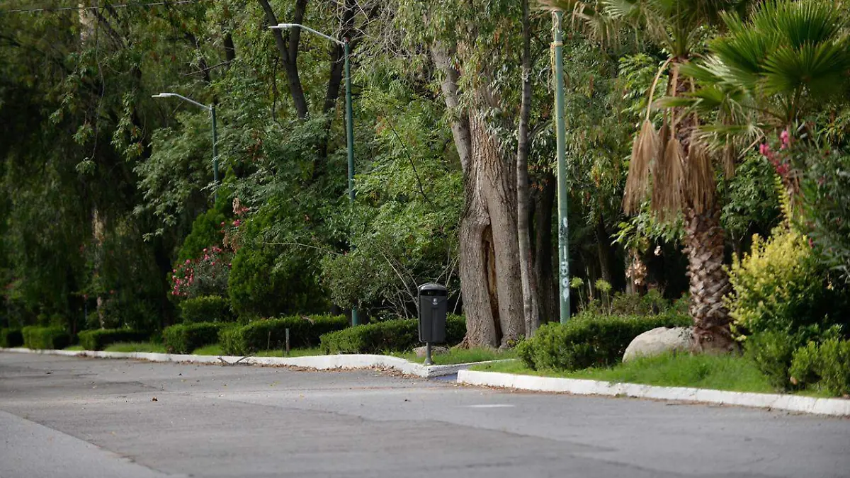 Parque de Morales (3)