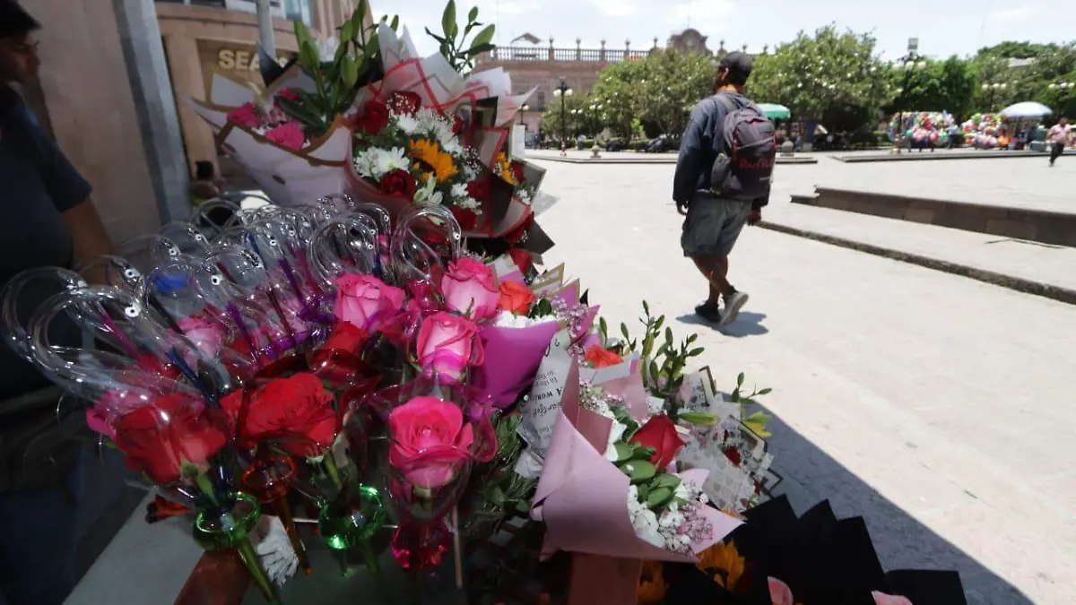 Comerciantes informales (2)