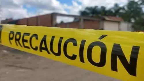 POLICIACA 3