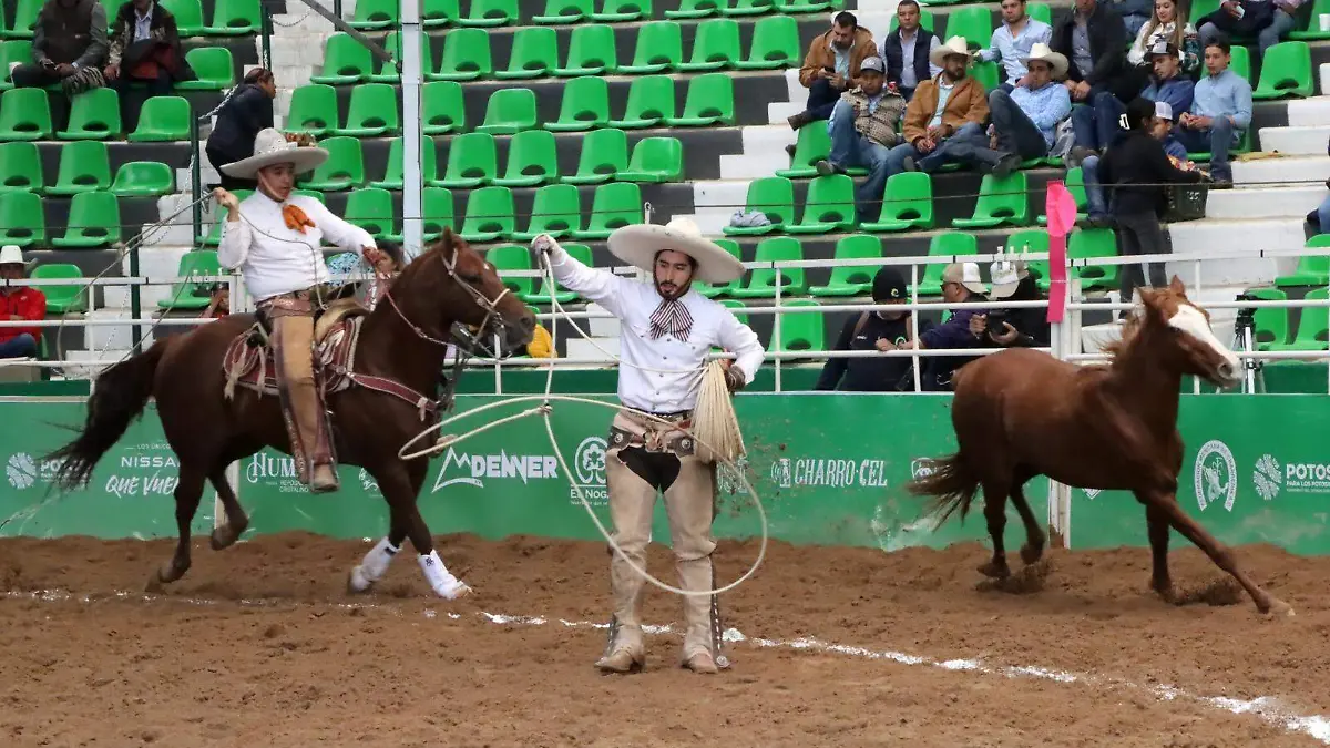 Regionales de Texcoco (1)
