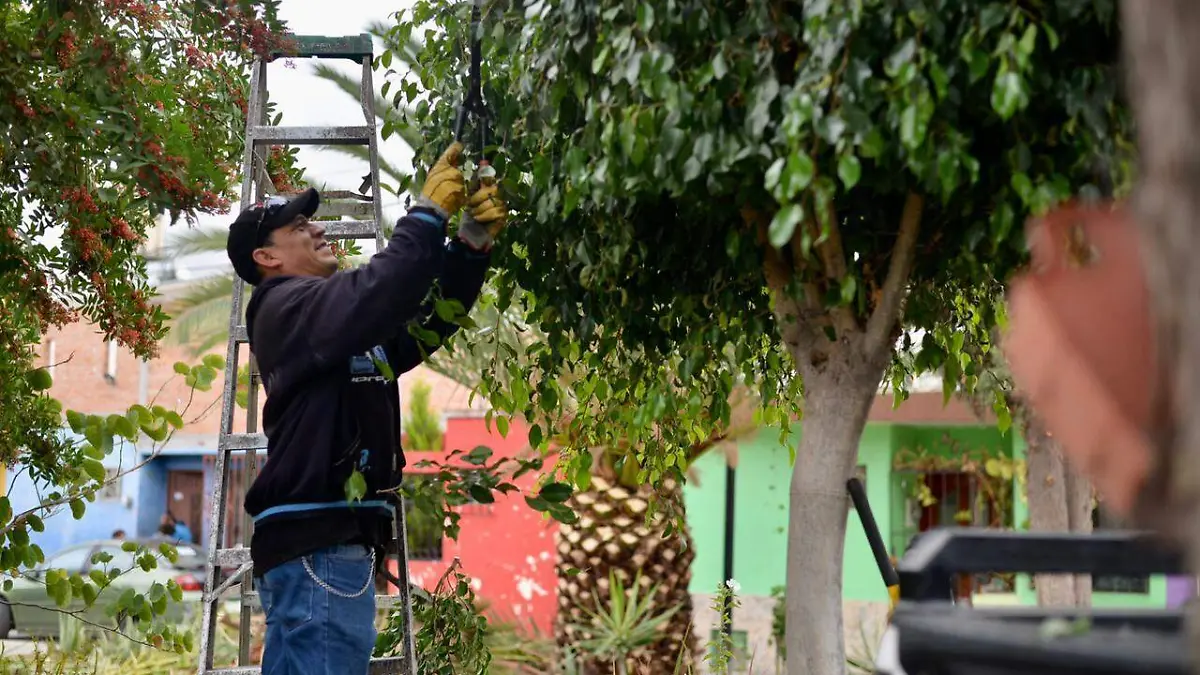 programa Semana Verde en Tu Colonia (3)