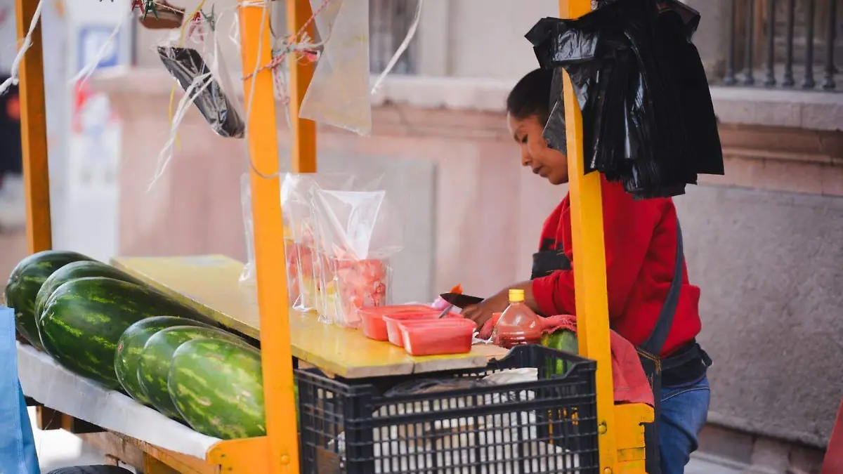 comercio informal, ambulantes (3)