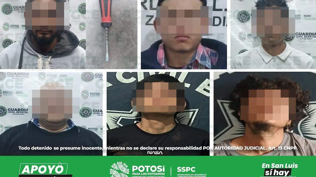 Seis detenidos por violencia familiar