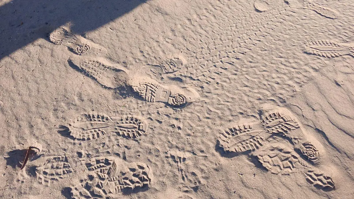 desierto en Texas (2)