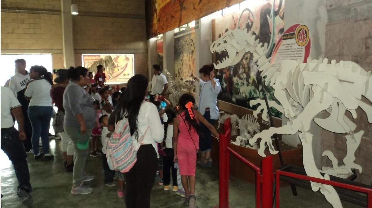 museo colibri