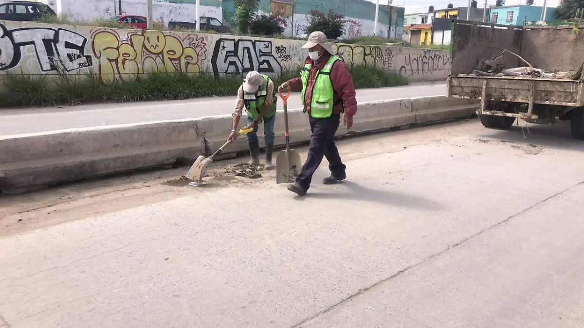 Limpiza B españita (2)