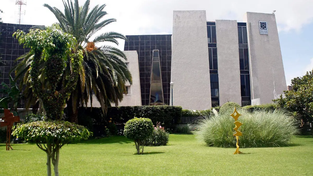 WhatsApp Image 2024-10-10 at 17.51.43