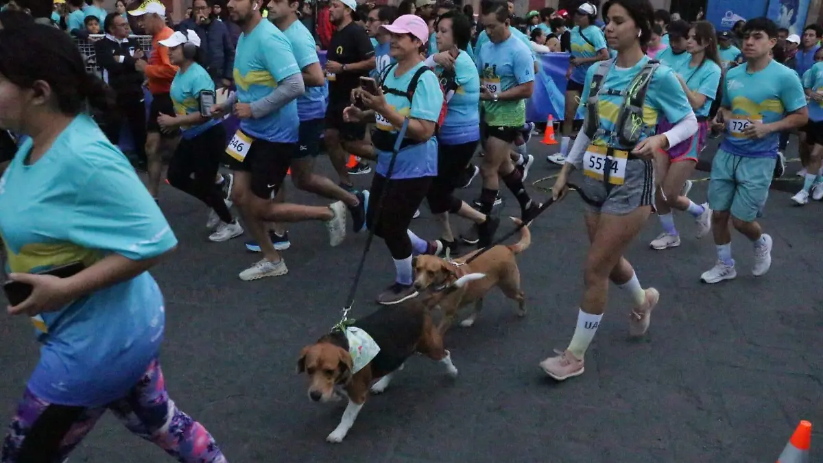 Medio Maratón Universitario (3)