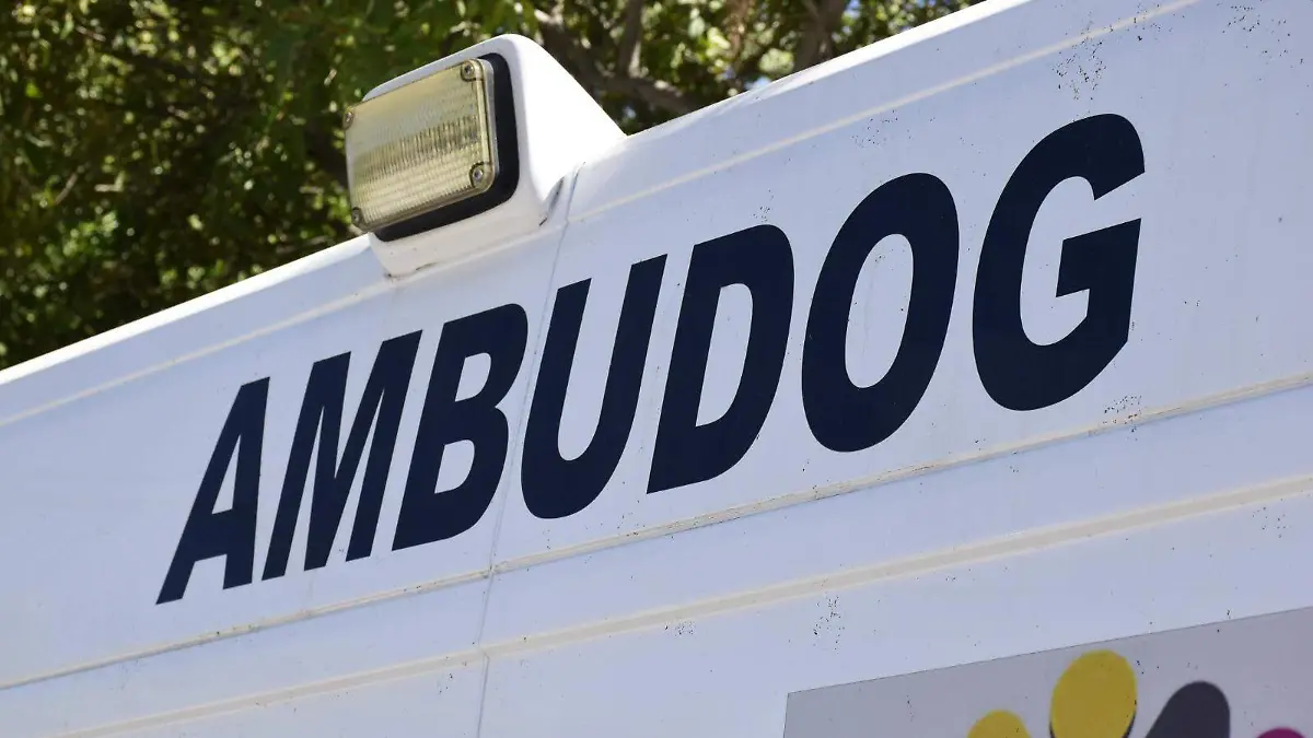 Ambudog