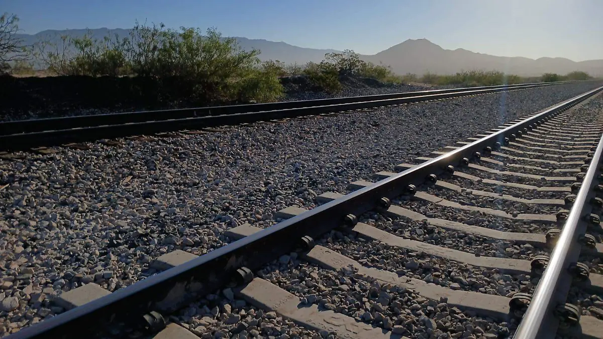 desierto en Texas (4)