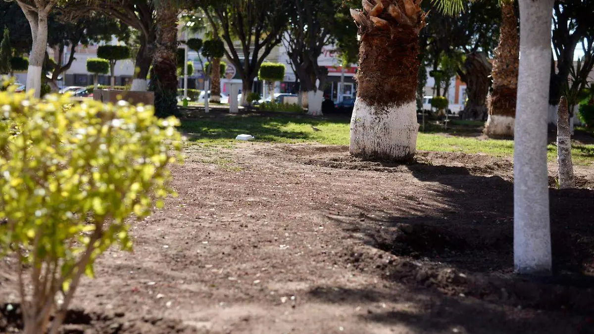 plaza principal de Soledad (2)
