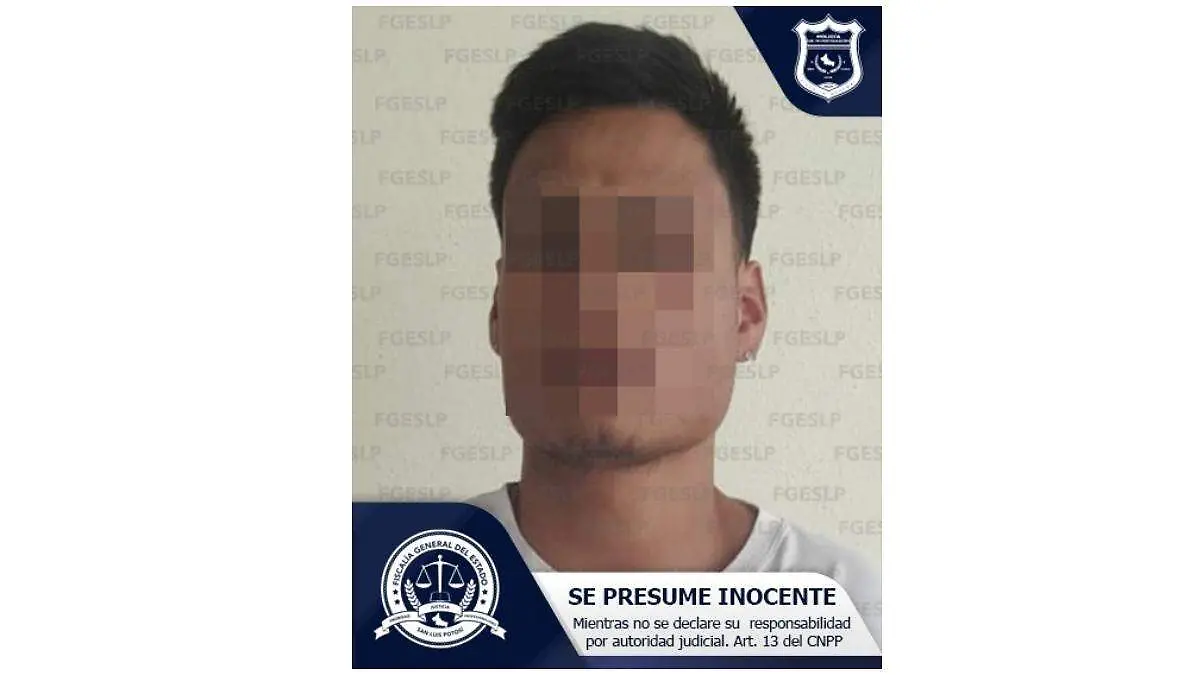 Erick N, detenido por violencia familiar