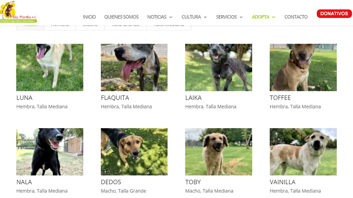 Estancia para el perro abandonado Sta. Martha, A. C.