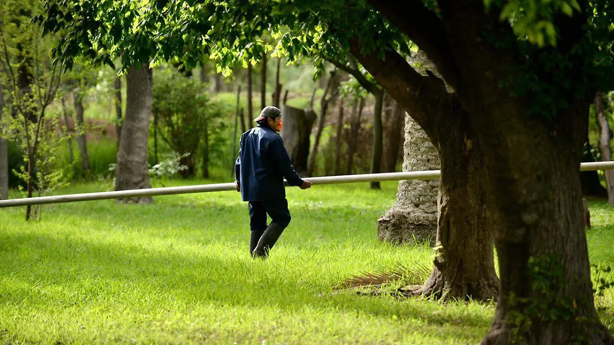 Parque de Morales (1)