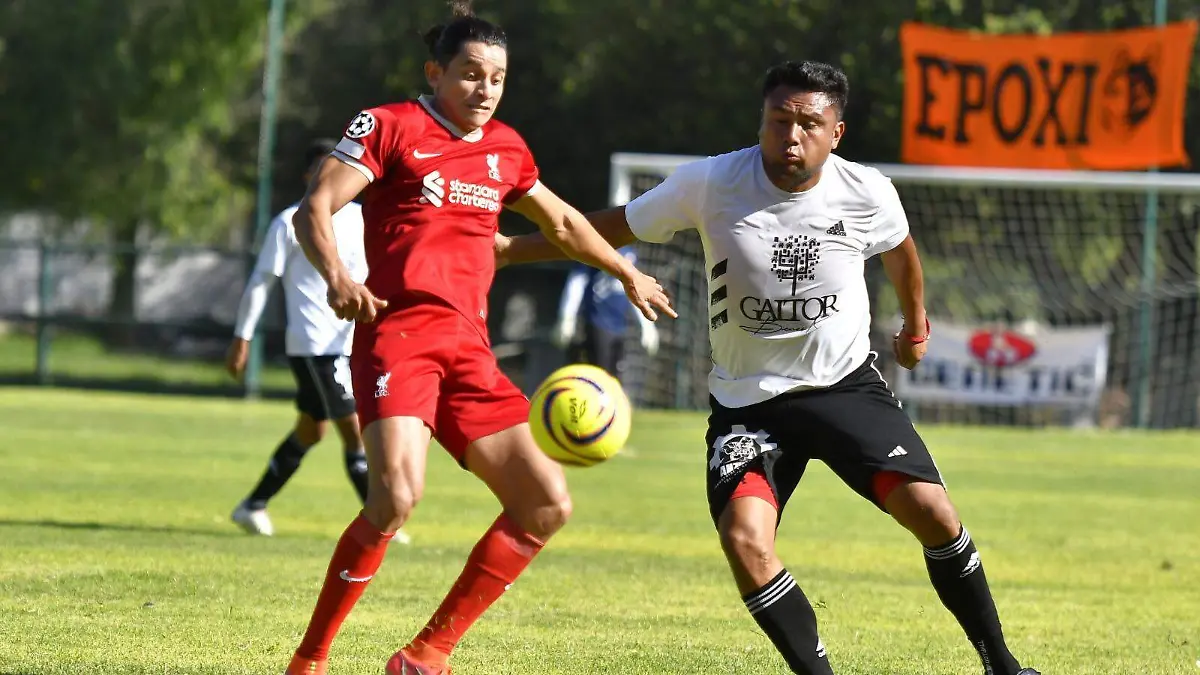 Liga Tangamanga (4)