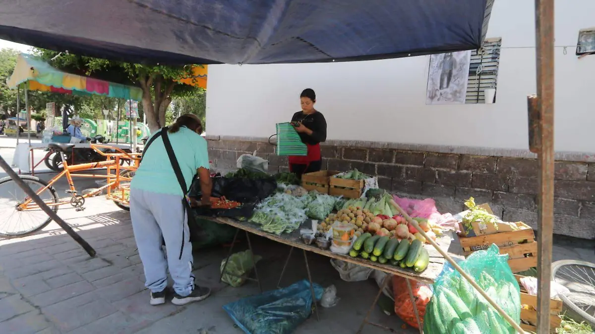 Vendedores ambulantes, comerciantes Soledad (3)