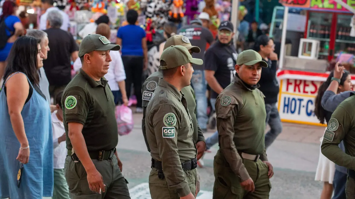 Guardia Civil en Fenapo
