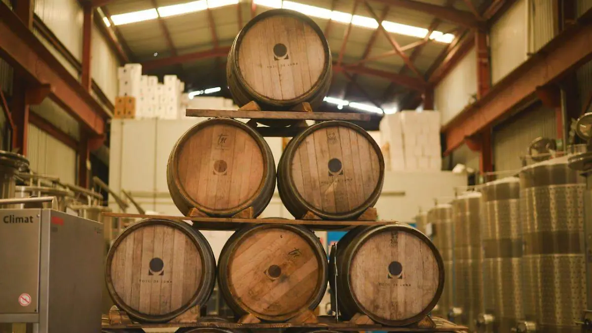 viñedos vino (4)