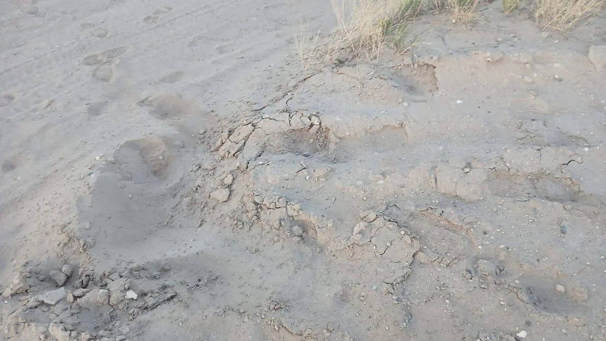 desierto en Texas (6)