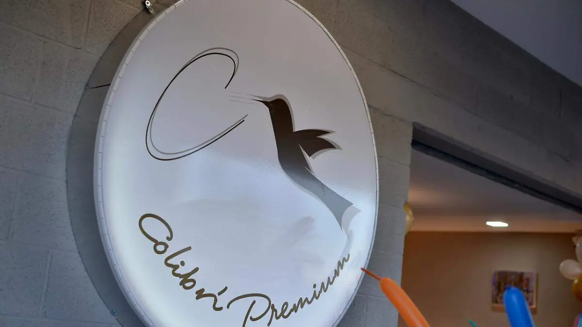 a8e6950c-839c-4d44-abce-5bd5c5f3148a