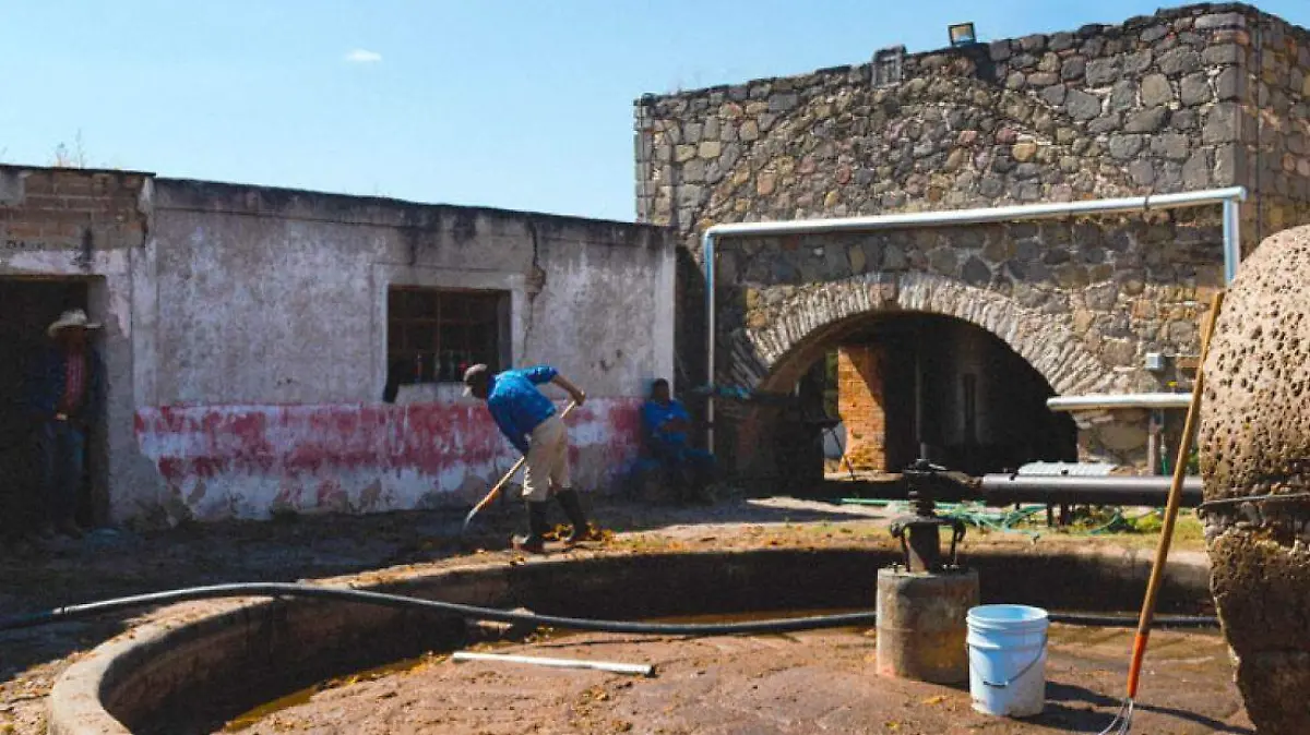 mezcalería la flor ahualulco